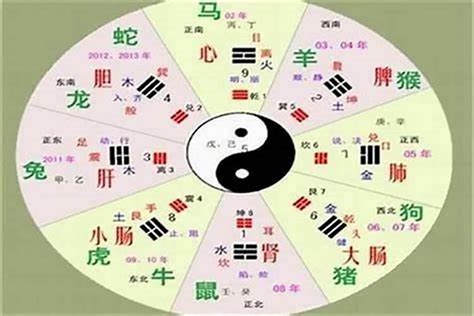 楊五行|杨字的五行属性